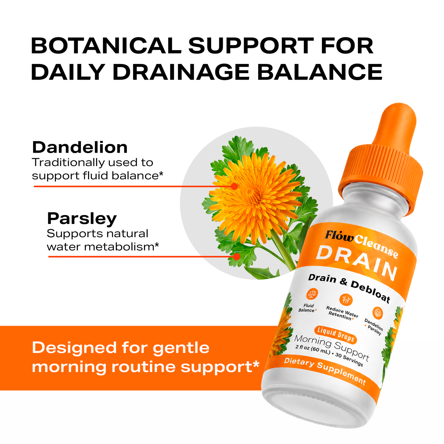 FlowCleanse DRAIN Liquid Drops 60ml – Drain & Debloat Formula – Lymphatic Support for Water Retention & Puffiness – Fast-Acting Daily Reset Drops